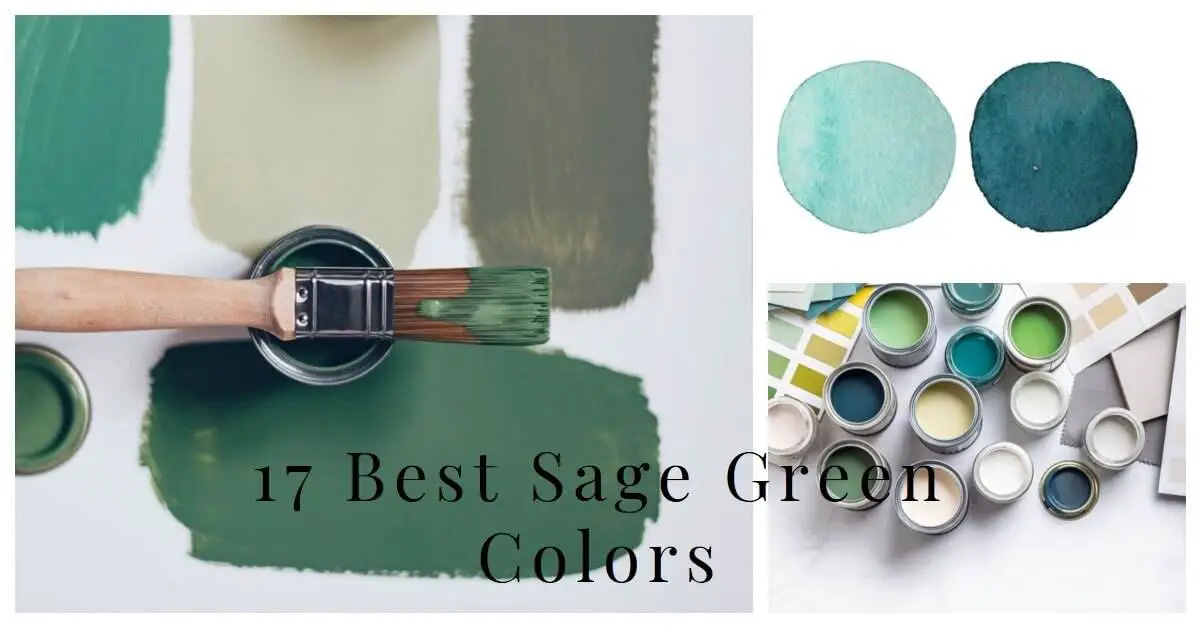 sage green color